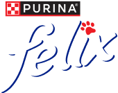 logo Felix 2026 - Chi vede la vita in positivo, vince!