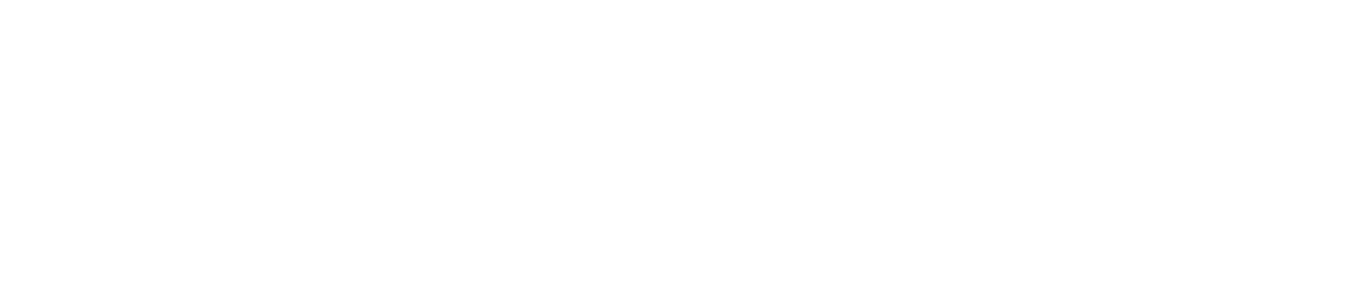 scritta bianca 'paddokvip'