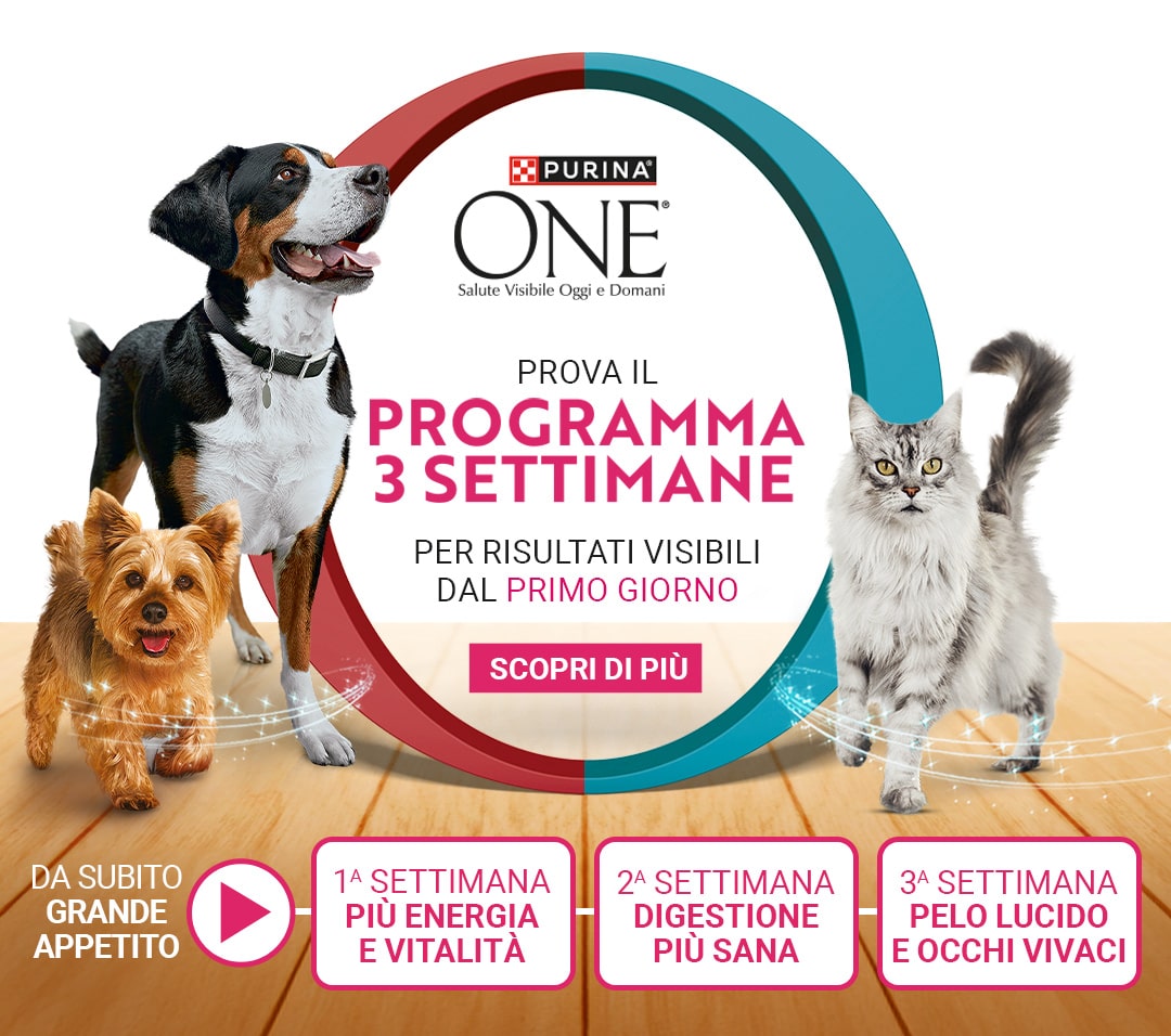 Vinci un premio ogni giorno e Super premi ogni tre settimane, al centro due cani e un gatto con in mezzo logo Purina e testo:'Programma 3 settimane', in basso prodotti per cane e gatto Purina One
