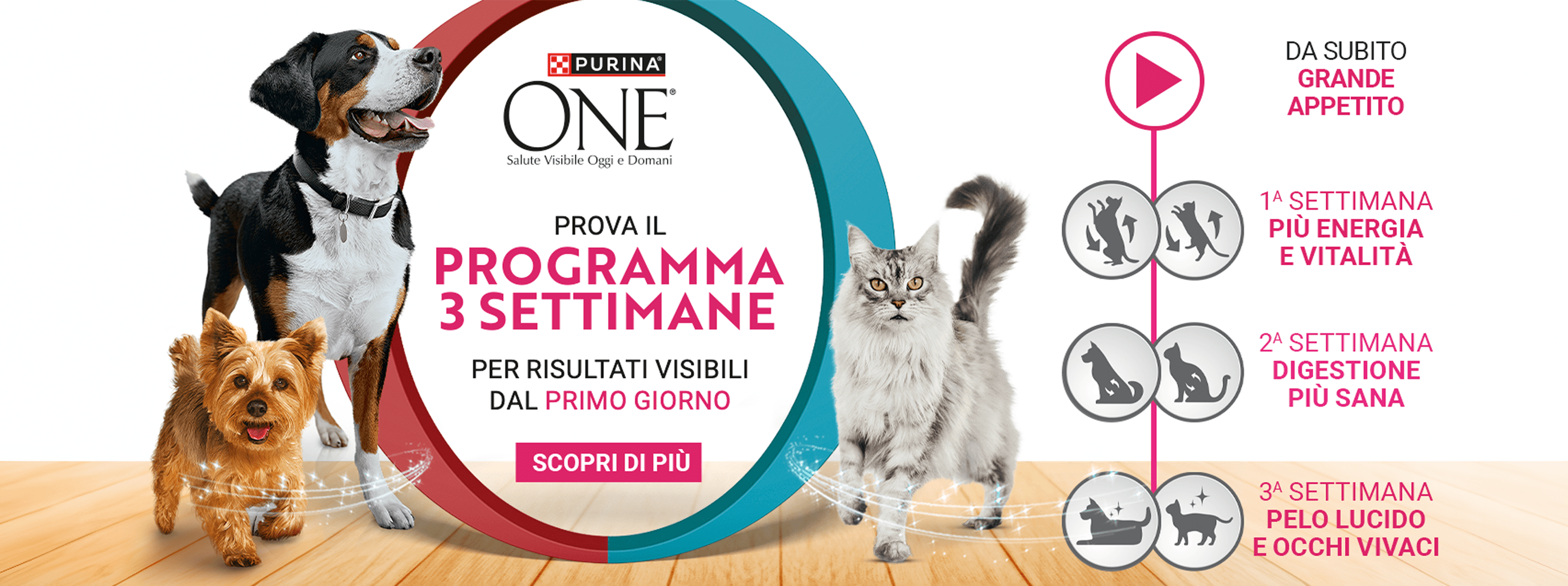 Vinci un premio ogni giorno e Super premi ogni tre settimane, al centro due cani e un gatto con in mezzo logo Purina e testo:'Programma 3 settimane', in basso prodotti per cane e gatto Purina One