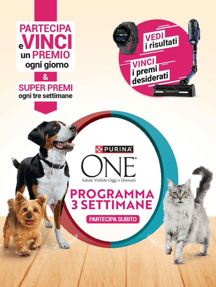 Vinci un premio ogni giorno e Super premi ogni tre settimane, al centro due cani e un gatto con in mezzo logo Purina e testo:'Programma 3 settimane', in basso prodotti per cane e gatto Purina One