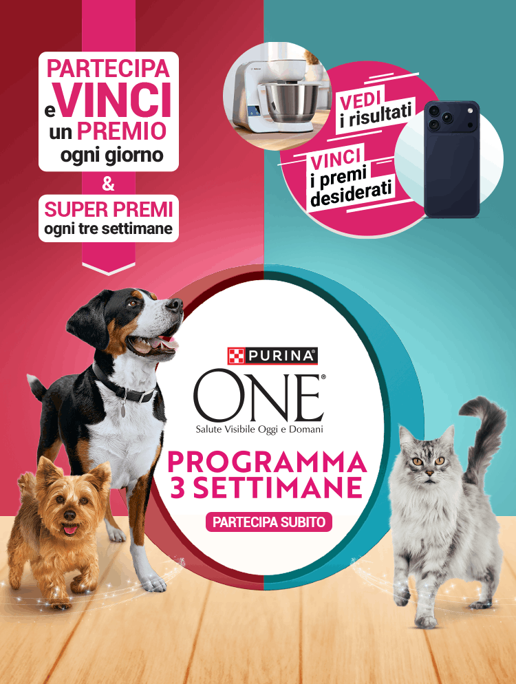 Vinci un premio ogni giorno e Super premi ogni tre settimane, al centro due cani e un gatto con in mezzo logo Purina e testo:'Programma 3 settimane', in basso prodotti per cane e gatto Purina One
