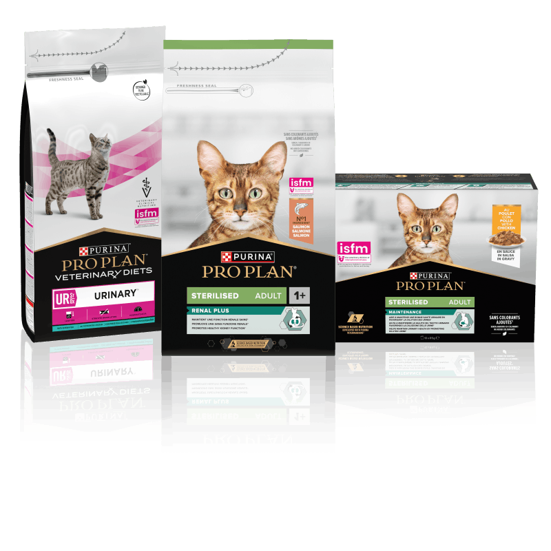 Prodotti Purina Pro Plan per gatto